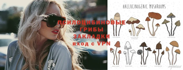 apvp Алексин