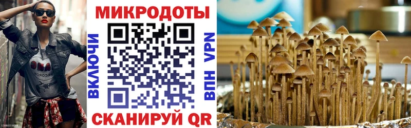 Псилоцибиновые грибы мицелий  продажа наркотиков  Богучар 